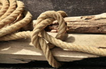Best top survival knots for preppers