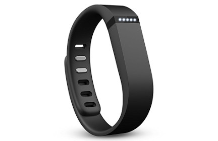 Fitbit Activity Wristband
