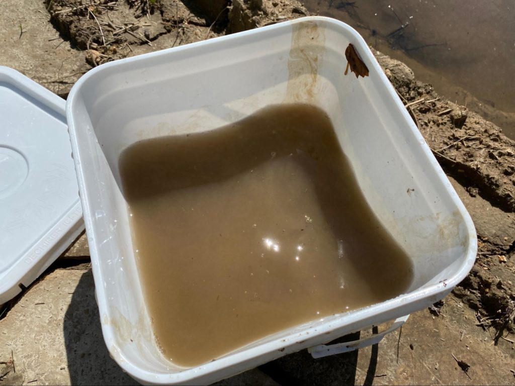 A bucket with the nasty test water