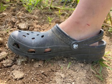 Review: Crocs — yes, the shoe — as a prep – The Prepared