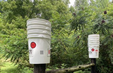 A stack of buckets on a fence