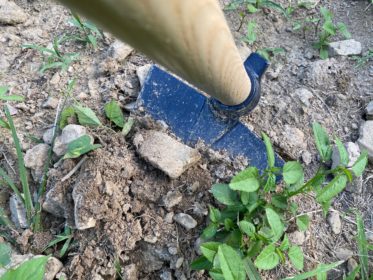 Review: Chillington Pointed Garden Hoe by Easy Digging – The Prepared