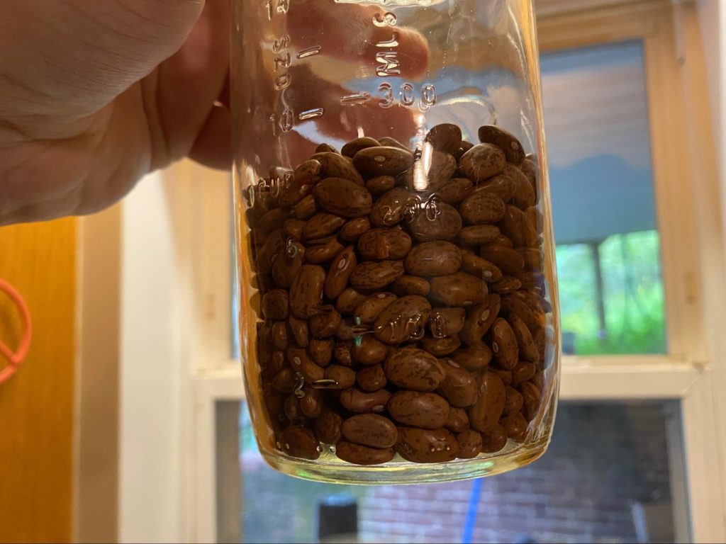 Dry beans in a mason jar