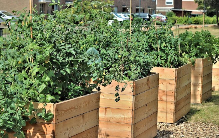Raised Beds For My Survival Garden, Are Raised Garden Beds Worth It