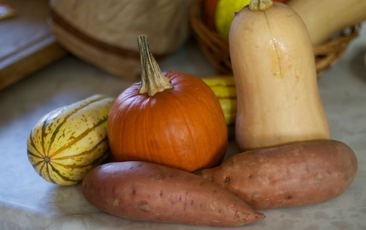 Yam Or Sweet Potato - How Do You Know Which Is Which? - Farmers' Almanac -  Plan Your Day. Grow Your Life.