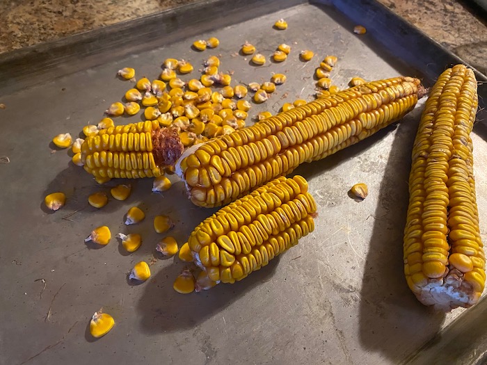 Dried corn