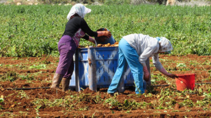 Are farmers more at risk at risk from extreme heat