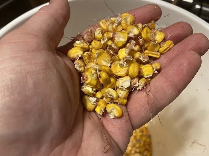 A hand holding corn kernels.