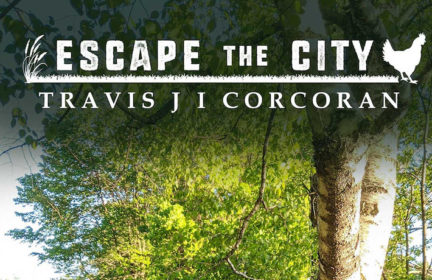 Escape the City Volume 2 cover