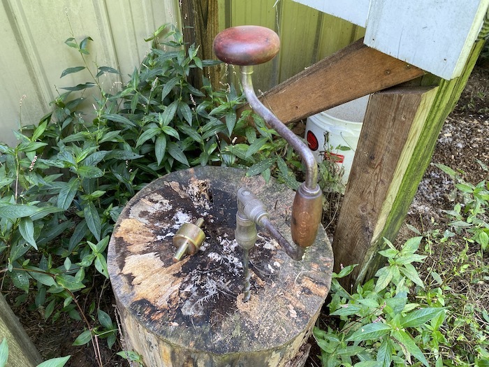 Auger in a stump
