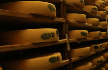 Does the US government store 1.4 billion pounds of cheese