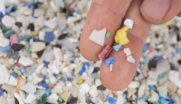 Have microplastics been found in live human lungs