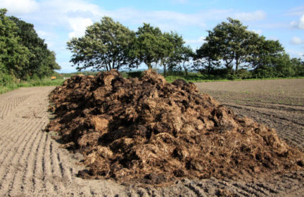 Is manure a hot commodity