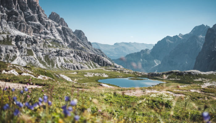 Are the Alps turning greener due to global warming