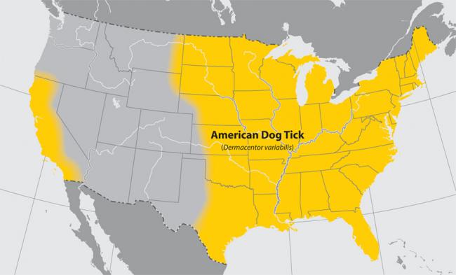 lgmap-american_dog_tick