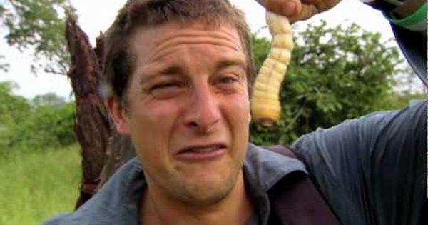 bear-grylls-eating-insects