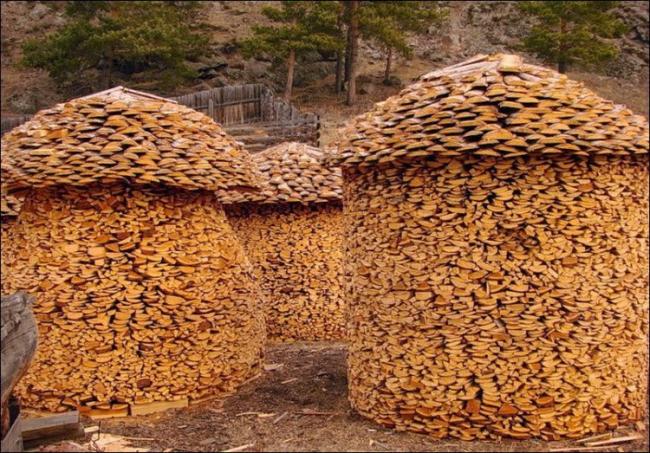firewood5