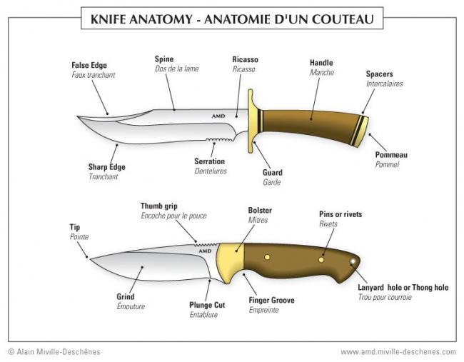 Knife-anatomy
